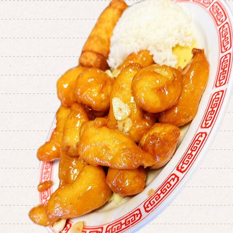 DS-17 HONEY GARLIC CHICKEN